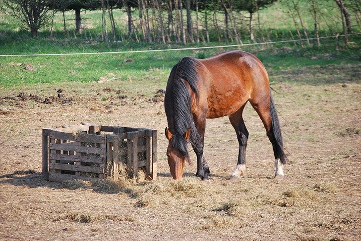 Traver | Kiara <3 *Part* - Smukke <3 Foto: Mig billede 9