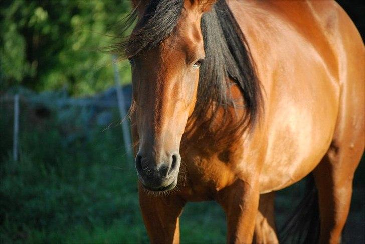 Traver | Kiara <3 *Part* - Er hun ikke bar dejlig? På sin helt egen mærkelige måde ? ;b billede 11