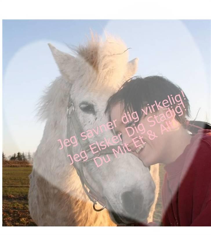 Anden særlig race Pjuske.(R.I.P)savnerdig/; billede 11