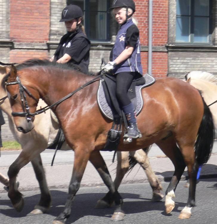 DSP Snorgaardens Magnus *Afl* - Snorgaardens Magnus & Natasja Bøttcher Thorkildsen billede 9