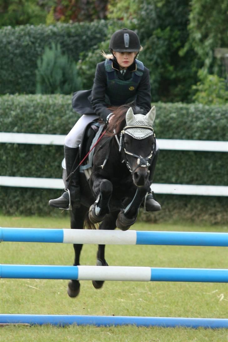 Welsh Pony (sec B) Blackie - :P billede 18