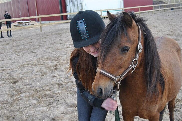 Kaspisk hest Semi<3 - Semi og malou (-:  billede 10