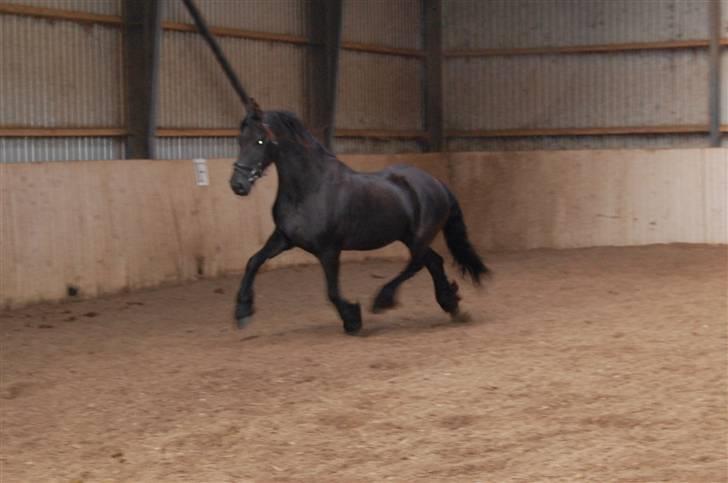 Frieser Frodo De Leuke - Frodos moar billede 15