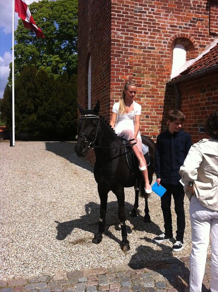 Anden særlig race Højgaardens Lukas (solgt) - Min smukke pony, min tvillinge bror og jeg til min konfirmation  d. 20/5.2011 :) hehe begyndte at græde :) <3 elsker ham såååå meget! <3 <3 <3 <3  billede 2