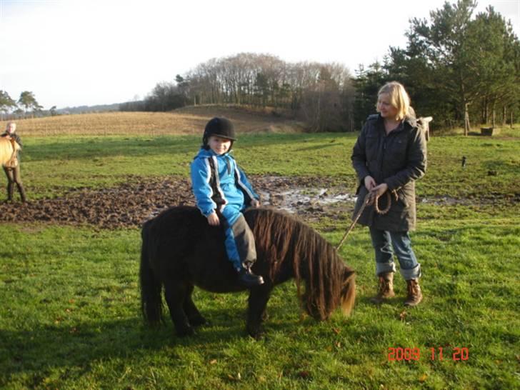 Anden særlig race Buller <3 billede 6