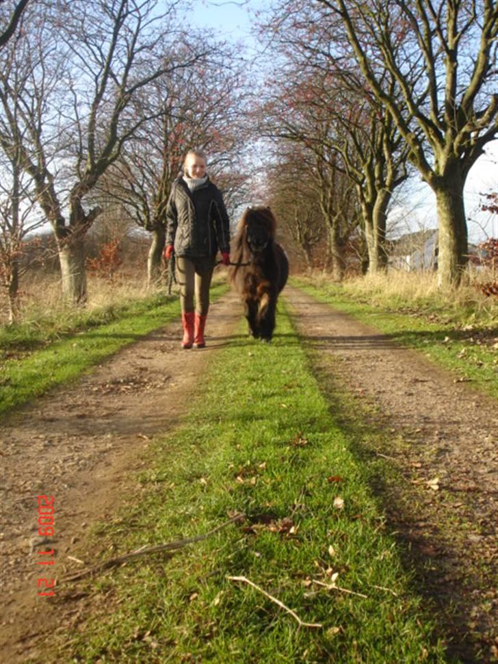 Anden særlig race Buller <3 billede 13