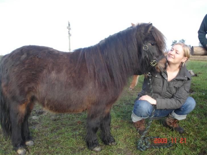 Anden særlig race Buller <3 billede 15