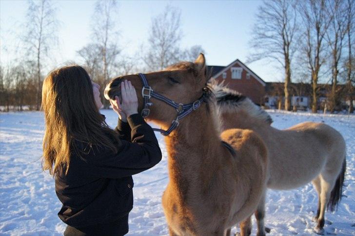 Anden særlig race Prinsesse Luna SOLGT - nusse nusse mulen <3 Fotograf: Frederieke billede 18