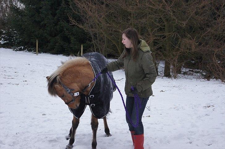 Anden særlig race Prinsesse Luna SOLGT billede 19