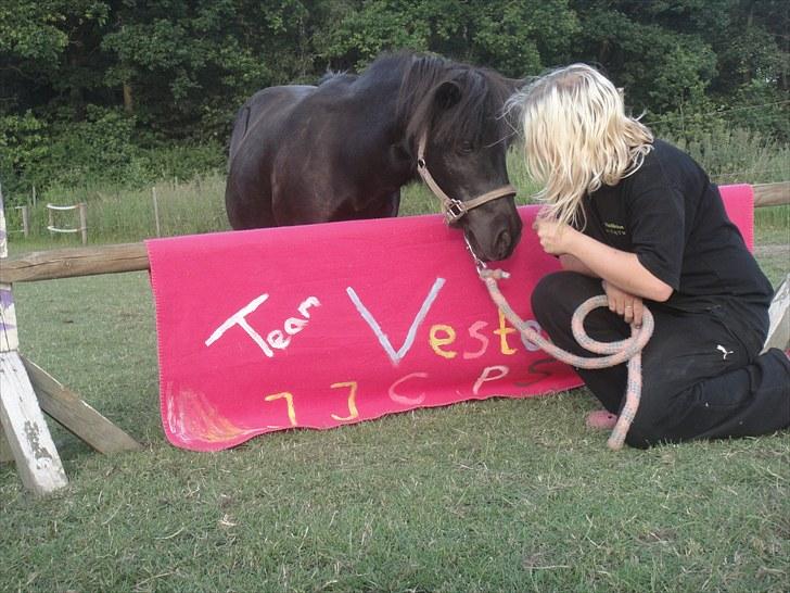 Shetlænder miss pinky - team vestergaard :D sommer 10 billede 13
