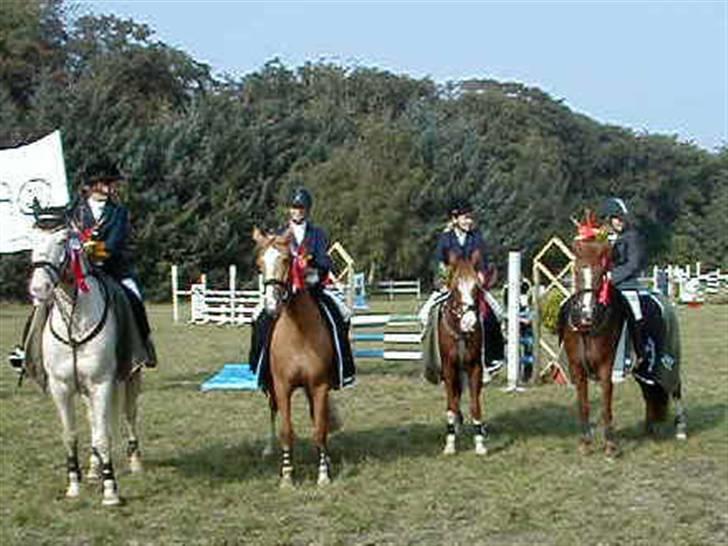 New Forest Stegstedgårds Malou RIP - 2002 Nordjyske distriktmester i springning for hold billede 6