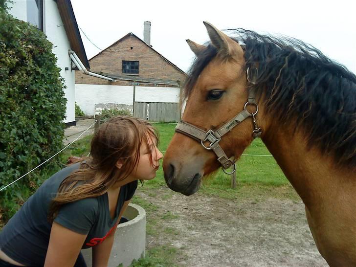 Anden særlig race Abby - mig og abbs krøller eller ej<3 (de er egte det er ikke noget jeg har lavet ved at flette eller noget<3) billede 17