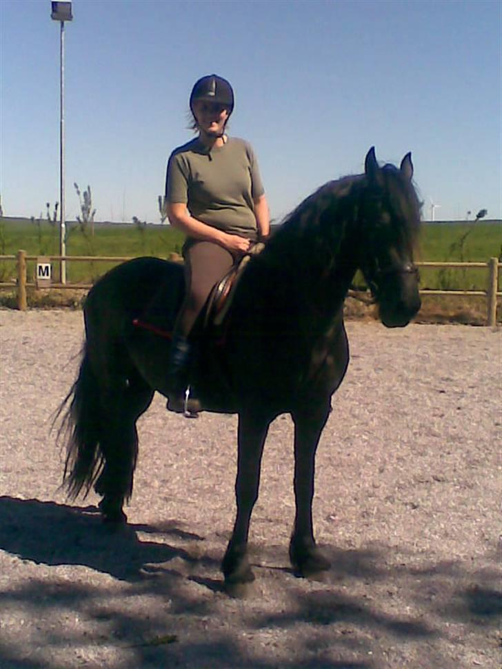 Frieser Texas Toustrup billede 6