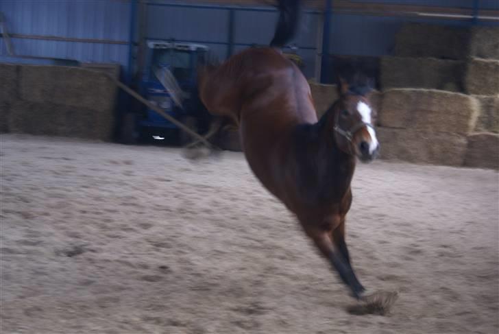 DSP Leonardo -Solgt :'( billede 7