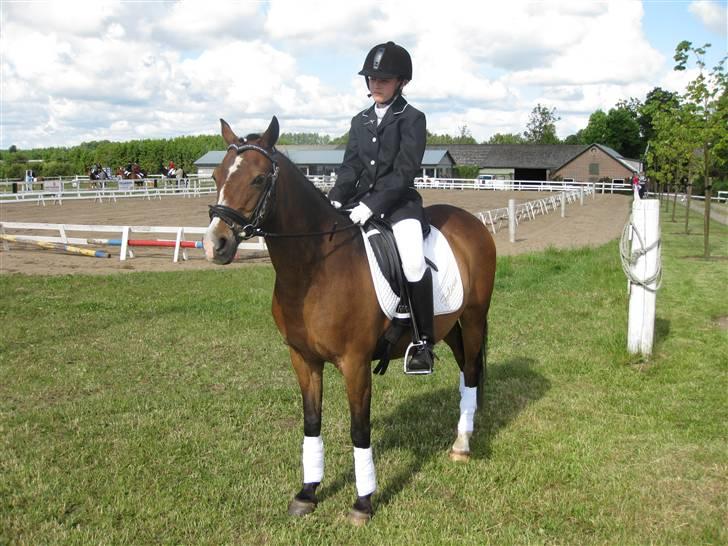 Anden særlig race Beauty billede 2