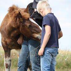 Schleswiger Enzo Toft