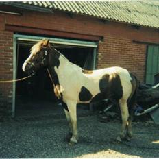 Anden særlig race sandy<3 R.I.P