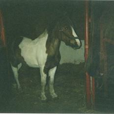 Anden særlig race sandy<3 R.I.P