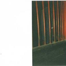 Anden særlig race sandy<3 R.I.P