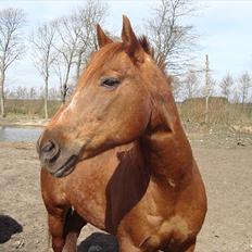 Quarter Skips Bu   *R.I.P*