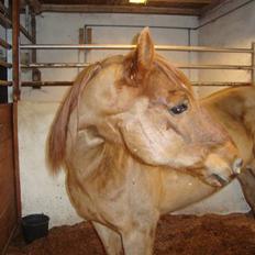 Quarter Skips Bu   *R.I.P*