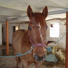 Quarter Skips Bu   *R.I.P*