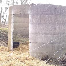 Shetlænder Smilla "solgt"