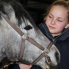 Welsh Partbred (Sec F) Princess