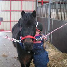 Dartmoor Anc-Neu Eri 