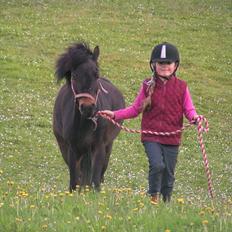 Dartmoor Anc-Neu Eri 