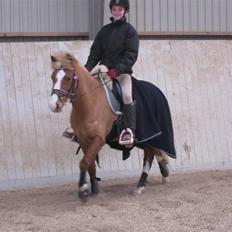 DSP Moonjams´s Symfoni