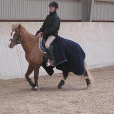 DSP Moonjams´s Symfoni