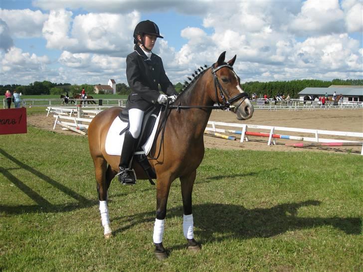 Anden særlig race Beauty billede 3