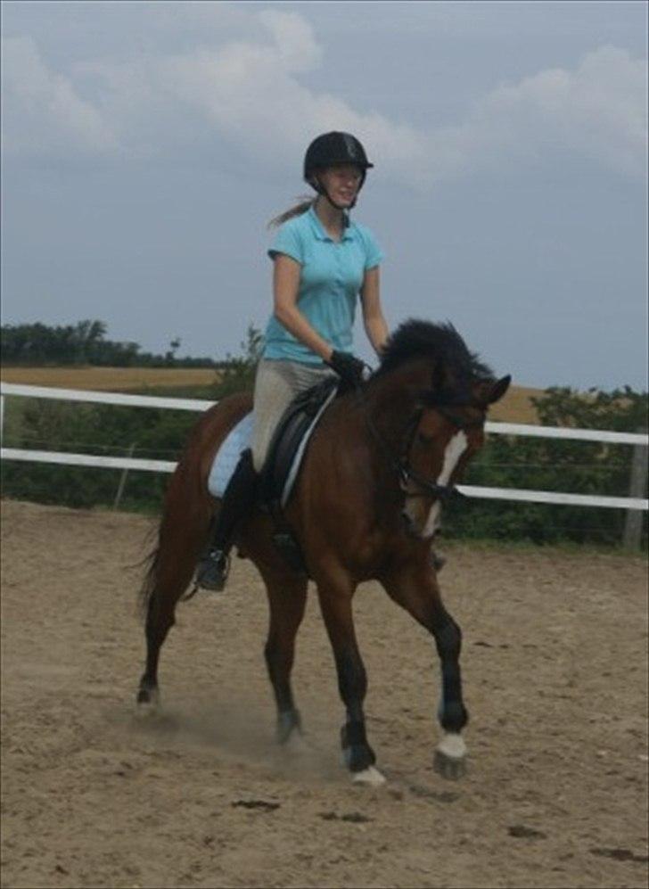 DSP Leonardo -Solgt :'( billede 10