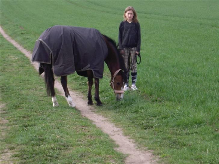Anden særlig race Beauty billede 4