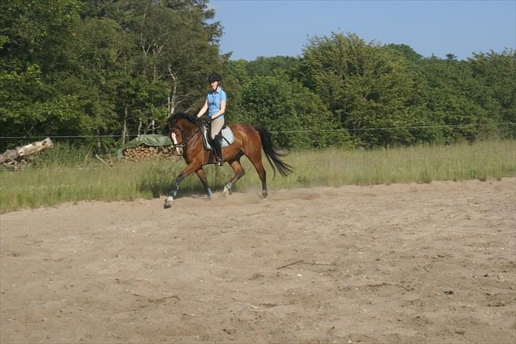 DSP Leonardo -Solgt :'( billede 11