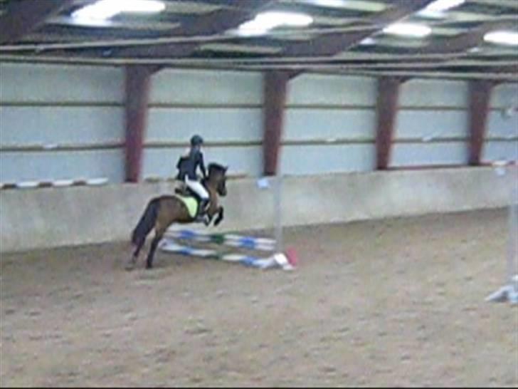 Anden særlig race Fiona - red - Fra ULD hos SRRK :) Undskyld kvaliteten, da det er taget ud fra video :) billede 11