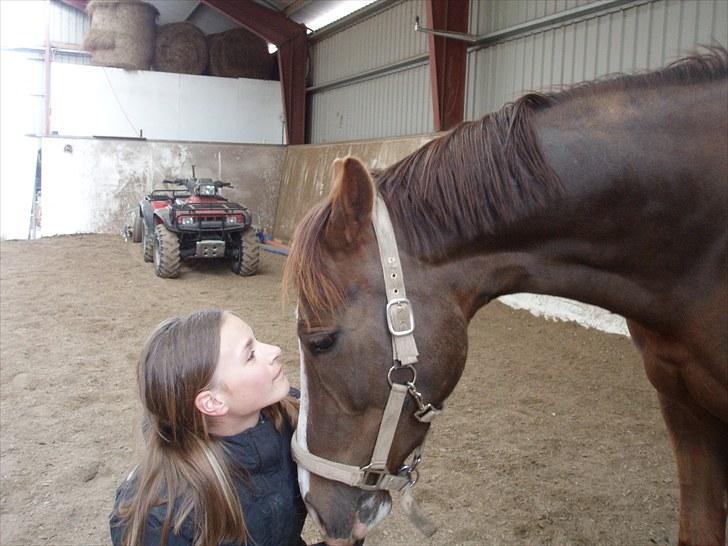 DSP Sejerø's Jackie TIDL PONY - Skat, du er en éner <3 |FOTO: Sara Andersen| billede 10