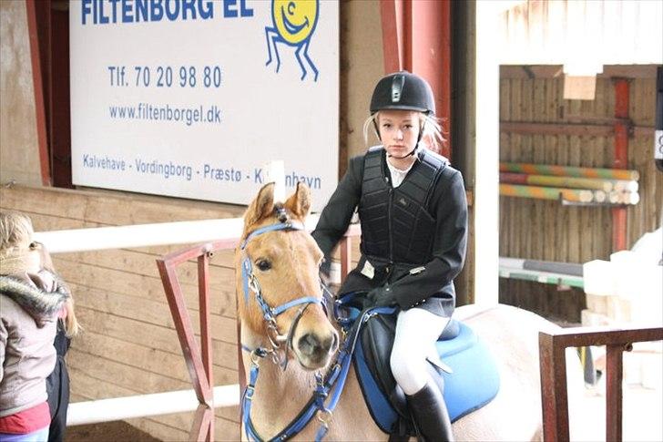 Anden særlig race Albert - Foto Af. BKB FotoGraf: Brizette Bøttcher billede 12