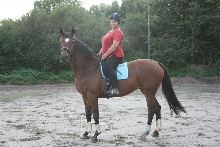 Dansk Varmblod Casiopaja Kilen - 15) kasse & mor <3 FOTOGRAF: KiK-photo billede 15