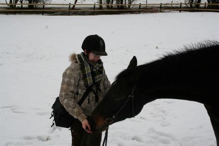 Anden særlig race Brøderups Brimer billede 10