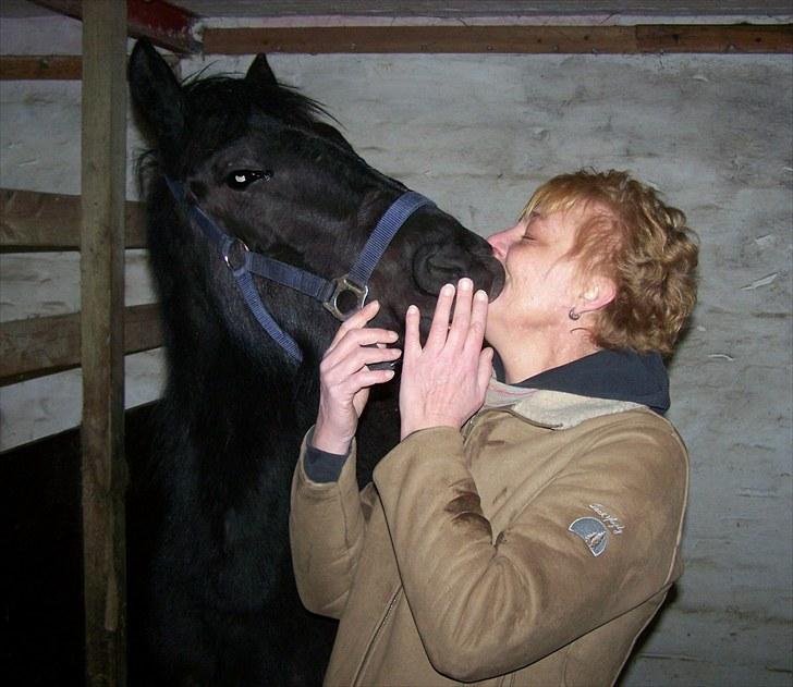Frieser Orlando - 4-3-10. Lykken er en varm mule, mod sin kind. Foto taget, da jeg fik Orlando hjem. Elsker min lille dreng. billede 20