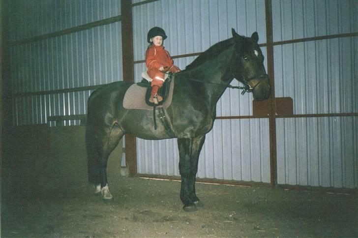 Dansk Varmblod Faimann (død) - min lille niese på ridetur. billede 8