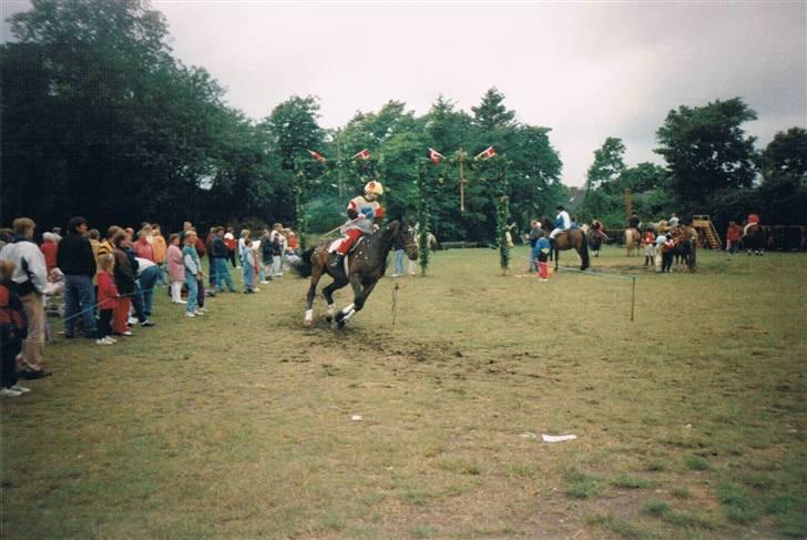 Dansk Varmblod Faimann (død) - udklædt ti ringridning i Vegger.. vandt for bedste udklædning. billede 9