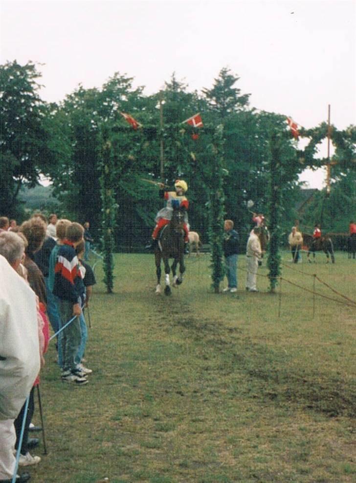 Dansk Varmblod Faimann (død) - Ringridning i Vegger. billede 17