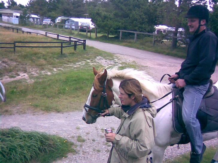 Anden særlig race Kiwidinok - Tom som rider på Kiwi, Joan som trækker billede 8