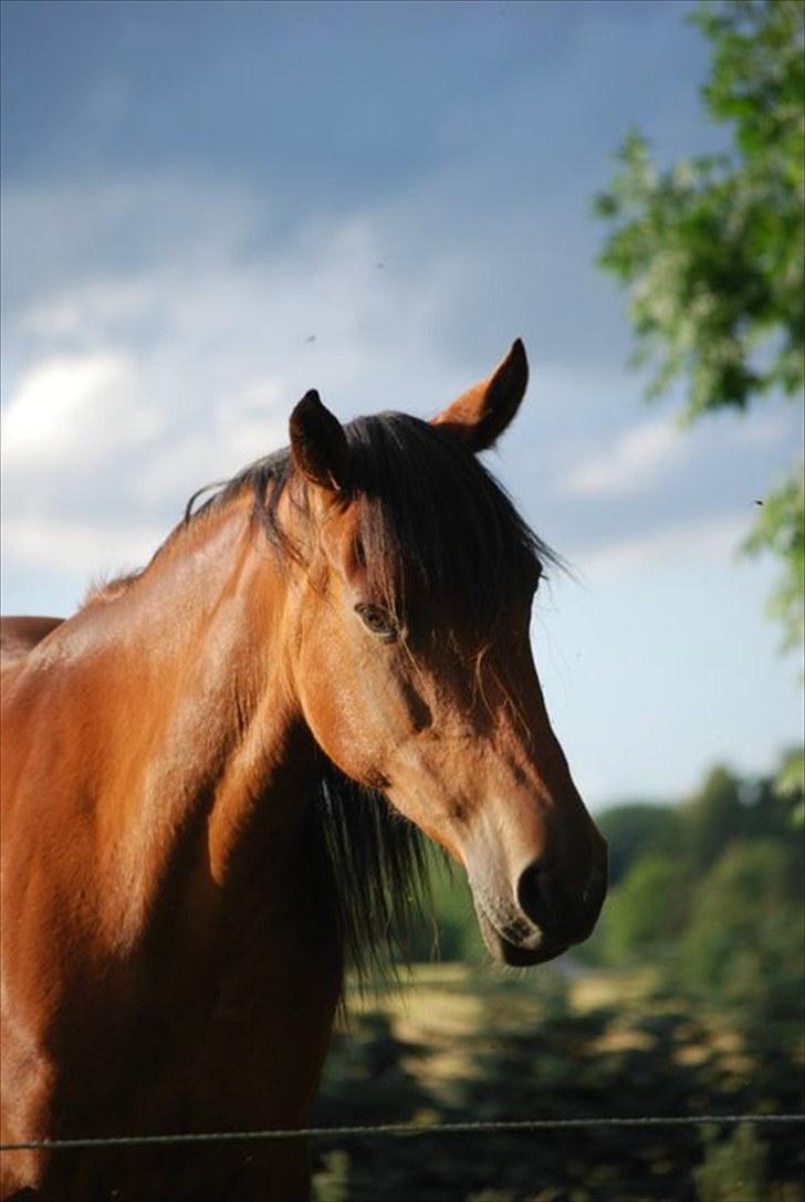 Traver | Kiara <3 *Part* billede 14