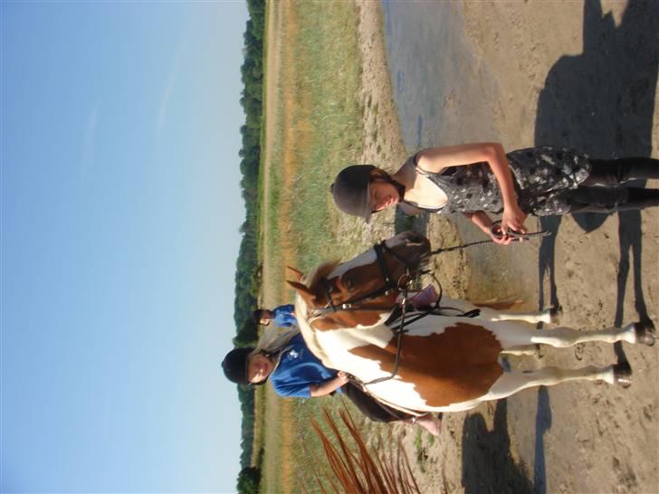 Anden særlig race Kiwidinok - Kiwi med Ditte og mig som holder billede 13