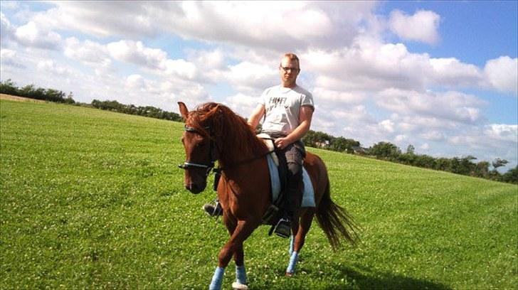 Anden særlig race Tanya - så kom jesper en tur på hende billede 1