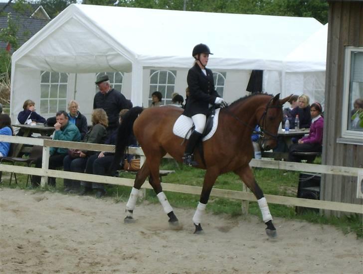 Anden særlig race Thilde *Solgt* - LB1A Årslev sommer 09. 1 Plads :D billede 16